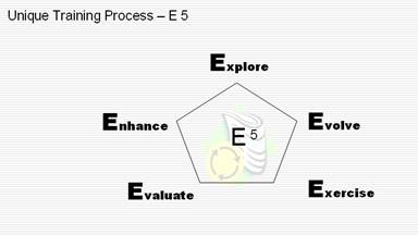 E5 Training Process